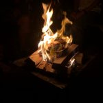 Thumbnail of post image 022